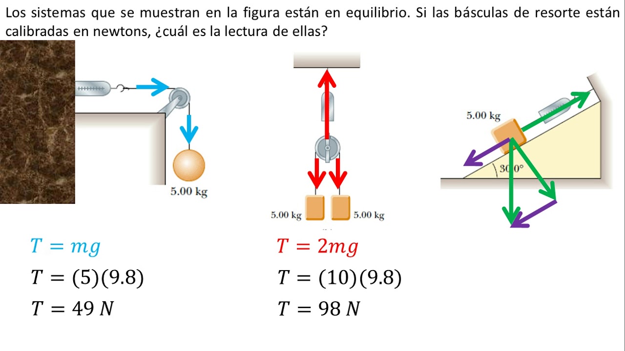 Cual es la fuerza de la gravedad