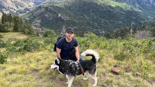 Variety streaming ABI and more (Portrait)