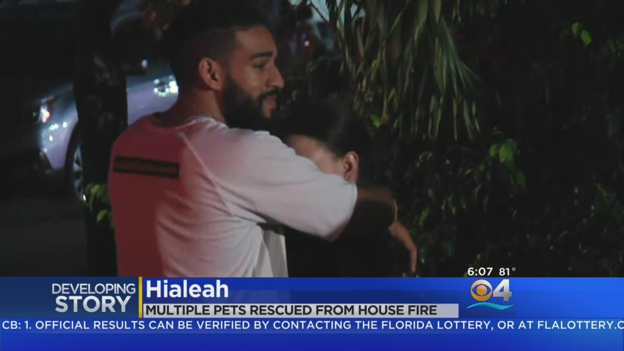 Family Saves Pets, Pig From Hialeah House Fire - YouTube