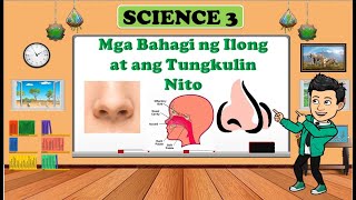 ILONG / NOSE -SCIENCE 3 - QUARTER 2