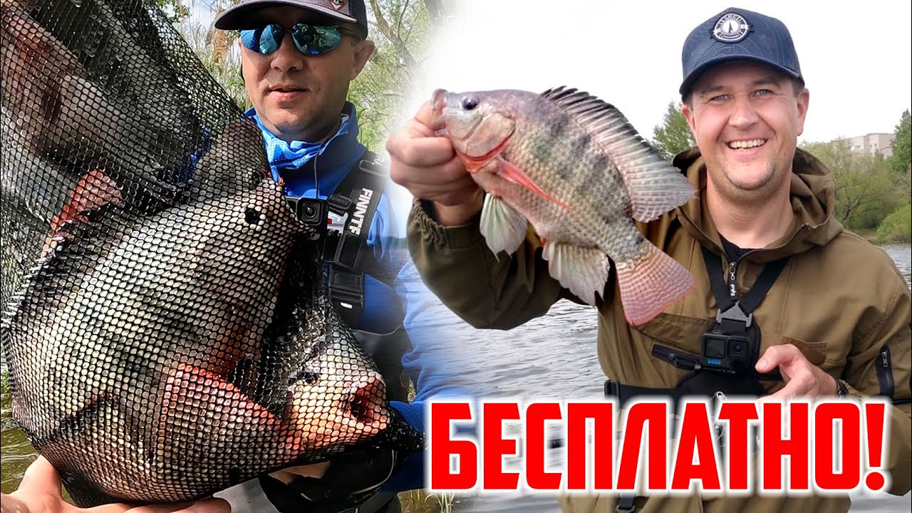 Доктор зай рыбалка воронеж