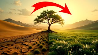 Dua Që E Bën të Pamundurën të Mundur – Lexoje me Besim! Lutje e Fuqishme