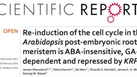 George Bassel (University of Birmingham) talks to GARNet