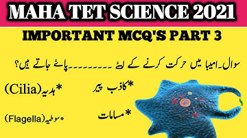 MAHA TET 2021 SCIENCE QUESTION | TET MCQ