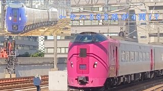 はまなす編成 臨時特急おおぞら 84号が札幌に帰ってきた日 札幌駅にて