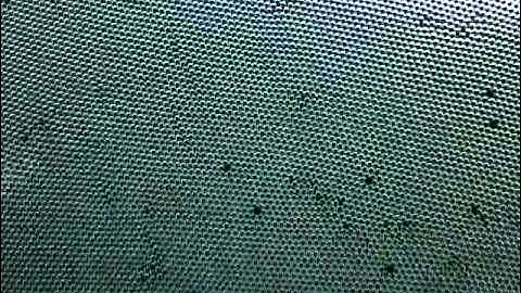 movement of dislocations in a bubble raft