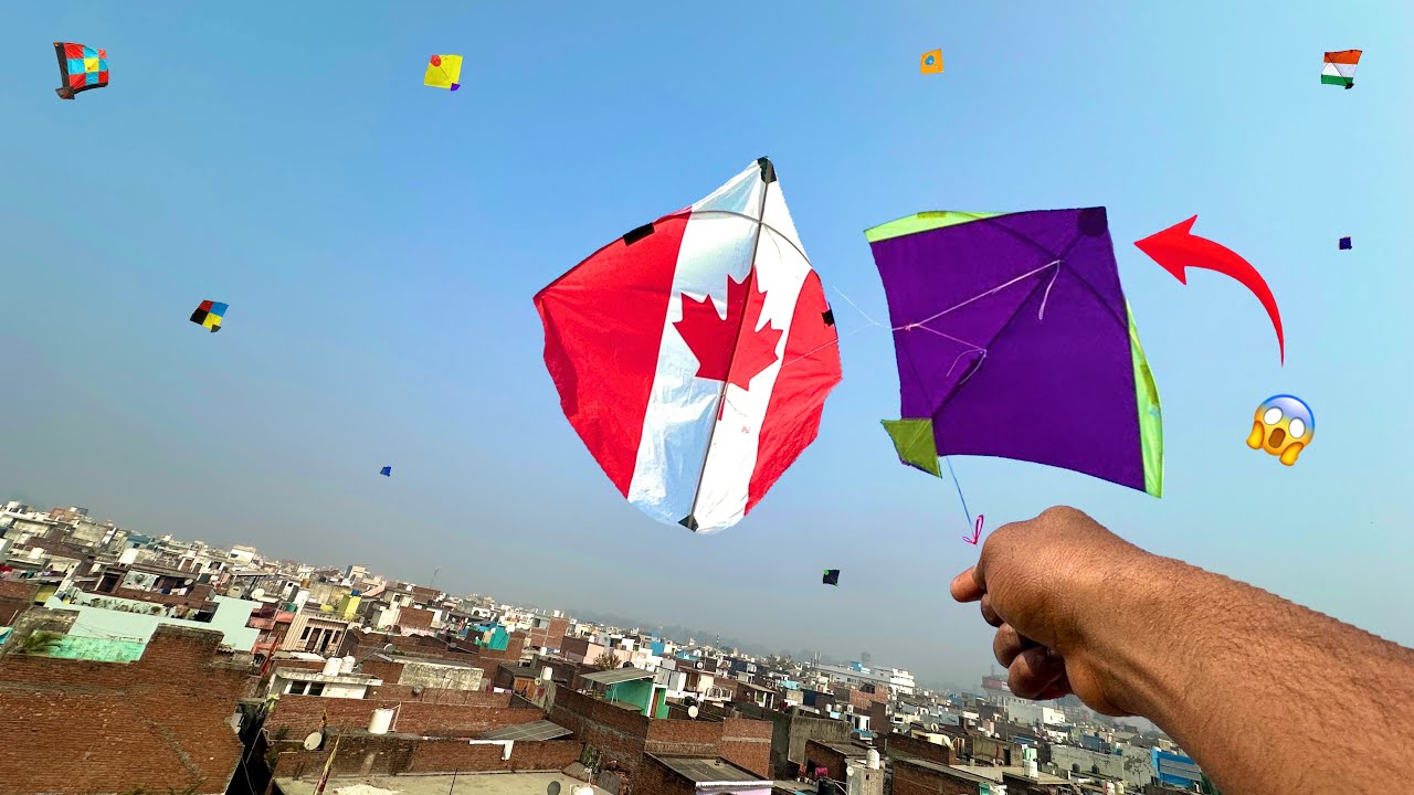 How To Catch Others Kites 😱 Kite Looting  | Caught Kites | Cut Other Kites