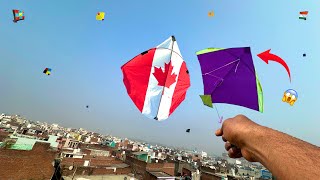 How To Catch Others Kites Kite Looting Caught Kites Cut Other Kites