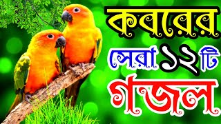 খুবই দুঃখের কবরের সেরা মায়াবী কন্ঠের মন প্রাণ জুড়ানো ১২টি গজল |New Islamic Best Selected Gojol