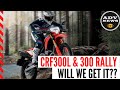 HONDA CRF300L & 300 RALLY | Released in Thailand & Will We Be Next? ADV NEWS