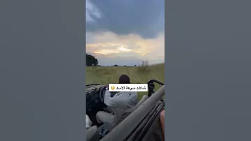 شاهد سرعة الفهد 