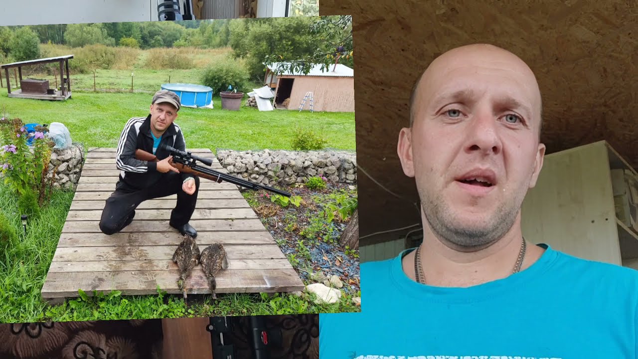 Возможности Kral Punher Maxi 3 в калибре 6,35 , на ОХОТЕ.