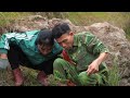 72 Hours SURVIVAL 🐍 Girl Harvesting in Forest Attacked by Massive Python — Shocking Escape!