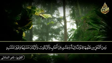وهو الذي أنزل من السماء ماء فأخرجنا به نبات كل شيء  - القارئ تامر الشاذلى