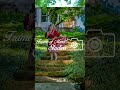 Vintage Red Dress Pose: Walking down the rock stairs #shorts