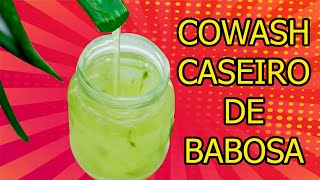 COWASH DE BABOSA CASEIRO