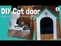 Where to put a CAT LITTER BOX in an RV || DIY RV Cat Door