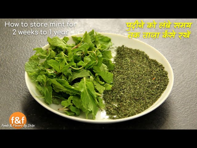 पुदीने को लंबे समय तक ताज़ा कैसे रखें How to store mint for 2 weeks to 1 year | Foods and Flavors