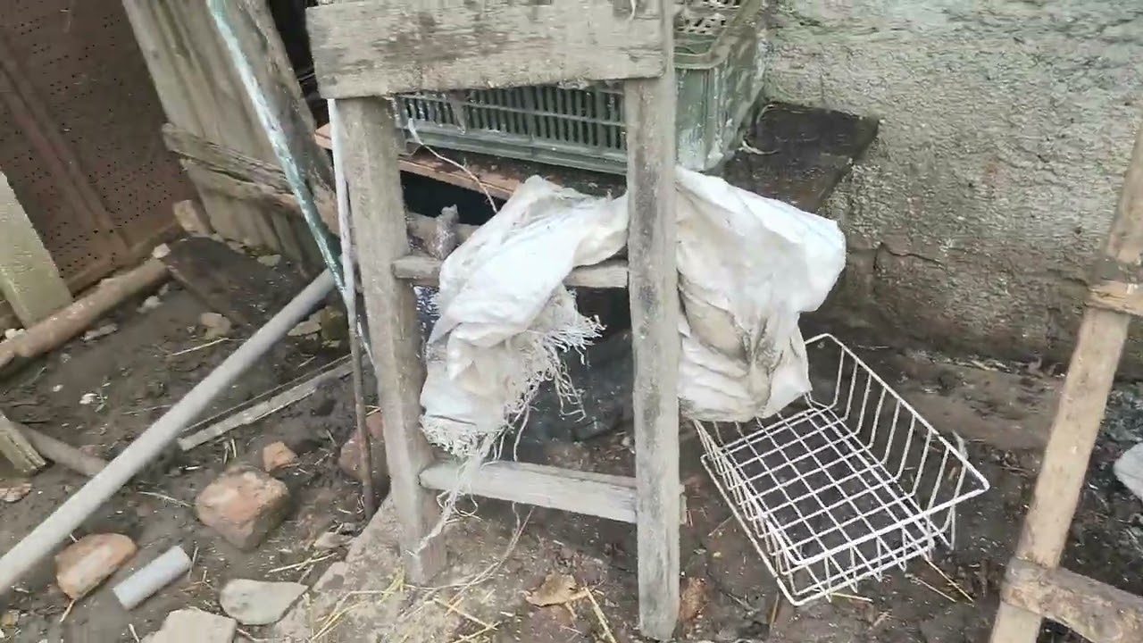 Am distrus cotețul. Pe la găini 🥰