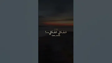 فاطمة شوفيني راني طاير 2024 Reels Rai Algerie شاشة سوداء تصميم فيديوهات Funny اكسبلور Music 