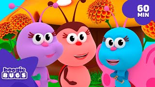 Download Lagu Back to School Song 🎒 Get Ready for School (60 min) 🌈 BOOGIE BUGS | Nursery Rhymes \u0026 Kids Songs MP3 Download Lagu Back to School Song 🎒 Get Ready for School (60 min) 🌈 BOOGIE BUGS | Nursery Rhymes \u0026 Kids Songs MP3