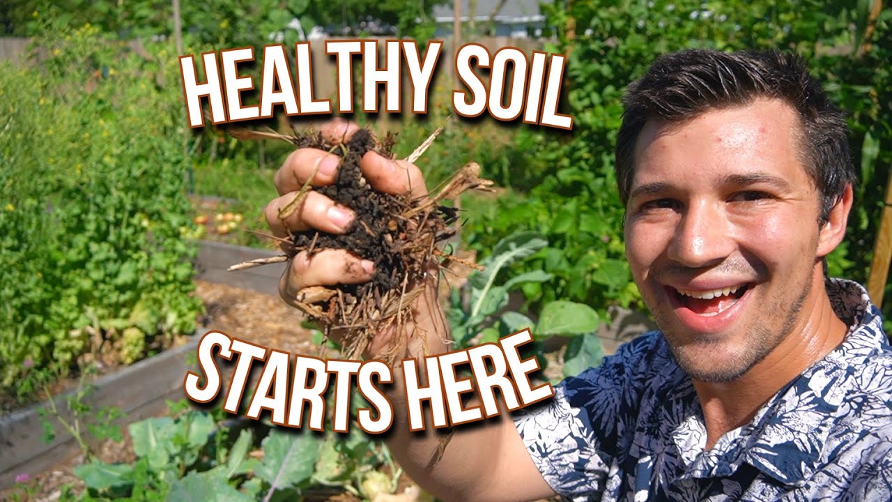 How We Keep the Soil Healthy In Our Organic Vegetable Garden - YouTube