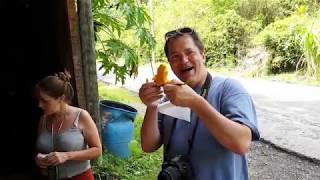 Taste St Lucia Food Tour
