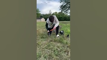 Is Metal Detecting a Good Side Hustle?