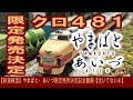 【鉄道模型】やまばと・あいづ限定発売決定記念動画【泣いてないよ】