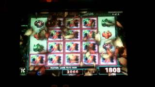 Paradise Garden Slot Bonus - IGT