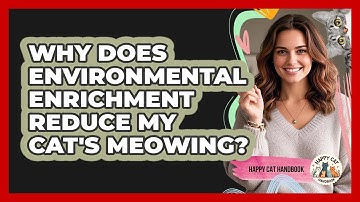 Why Does Environmental Enrichment Reduce My Cat