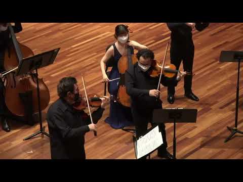 Samuel Vargas ft.  Sergiu Schwartz - Bach Double in D Minor