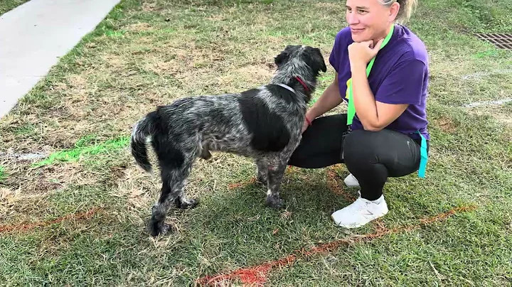 A2045606 Duncan and A2048016 Romeo temp test