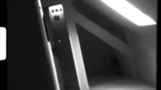TRANSIENT REFLECTION - NECESITO TU AMOR