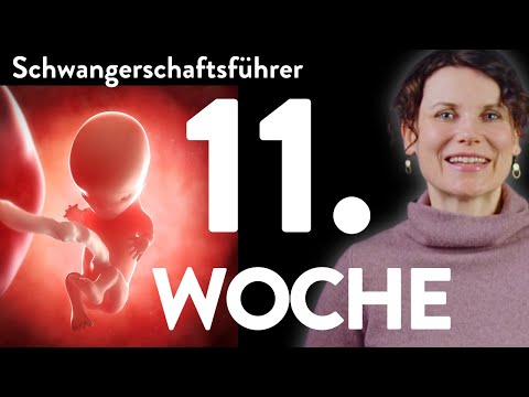 What happens in week 11? | Your pregnancy guide | Week 11 | 11th week |
