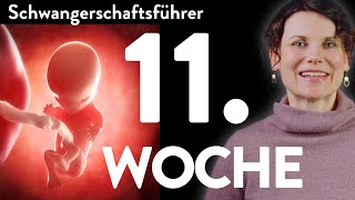 What happens in week 11? | Your pregnancy guide | Week 11 | 11th week | screenshot 4