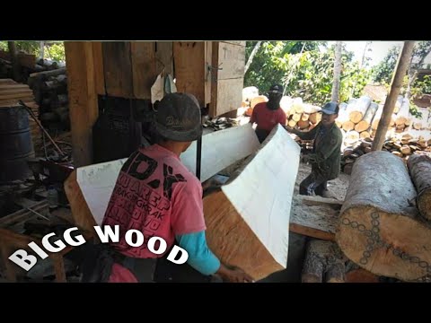 Very stressful‼️Manual sawing of large and long wood is full of risks ...