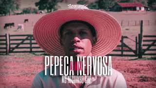 PEPEC4 NERVOSA REMIX - HIT TIK TOK - MC Neguinho CRZ (DJ SDF)