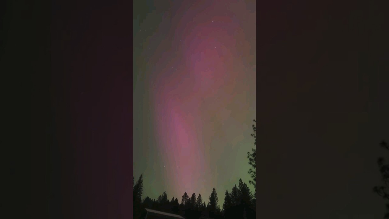 Northern Lights in my front yard?! 😳 Full video up now! 