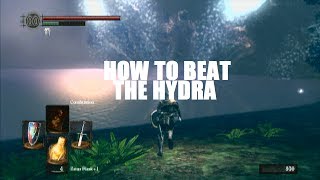 Dark Souls - How To Beat The Hydra