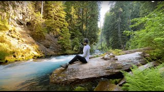 Forest Bathing Meditation in the Cascade Mountains