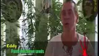 The Green Avalanche part1 of 5