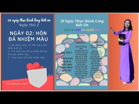 Video NGÀY THỨ 2: HÒN ĐÁ NHIỆM MÀU - THỰC HÀNH LÒNG BIẾT ƠN - youtube