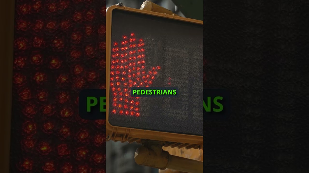 Crosswalk Rights 101