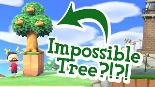 IMPOSSIBLE TREE GLITCH - Trees On The Edge Of A Cliff - ACNH [TUTORIAL]