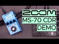 Zoom Multistomp MSR-70 Sound Demo (no talking) with Twisted Electrons MEGAfm