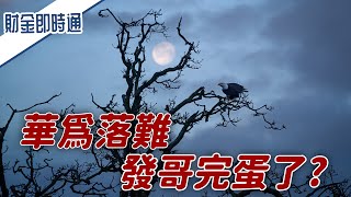 財金即時通-20200819/華為落難 發哥完蛋了?