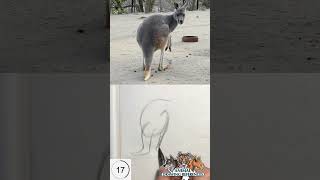 Let's draw animals in 30 seconds! #drawing #gesturedrawing #animaldrawingreferences #animaldrawing Let's draw animals in 30 seconds! #drawing #gesturedrawing #animaldrawingreferences #animaldrawing