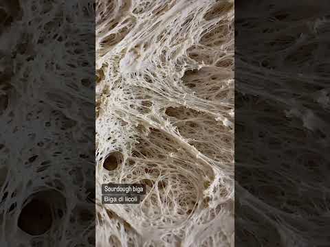 افضل طريقه لعجينه البيجا للبيتزا الايطاليه  بيتزا بيتزا ايطالى 