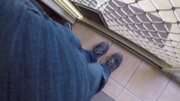 PACIFIC PINES CARPET PYTHON